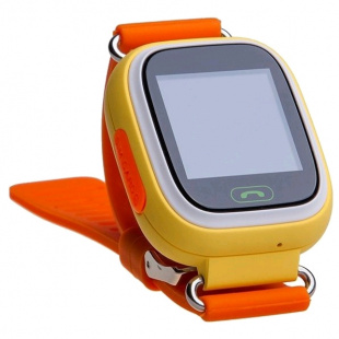 Prolike PLSW90OR orange Умные часы