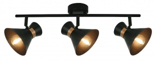 Arte Lamp Baltimore A1406PL-3BK спот