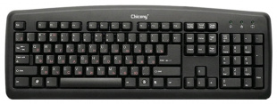 Chicony KU-0325 USB beige 104 keys keyboard Клавиатура