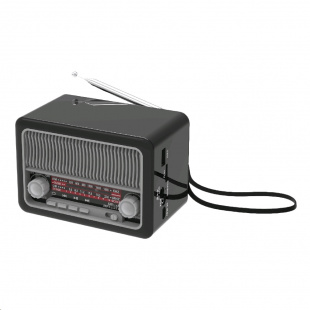 Ritmix RPR-035 SILVER радиоприемник