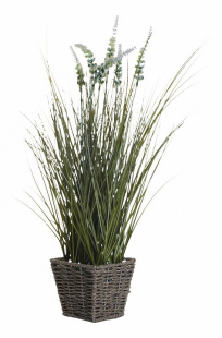 Garda Decor Растения в горшке (55 см) Вейник остроконечный 8J-11AK0023 (GRD_8J-11AK0023) Цветок