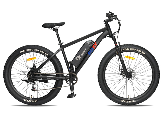 Электровелосипед Roxy D205 27.5RX-D205-300BL — фото, цена, купить