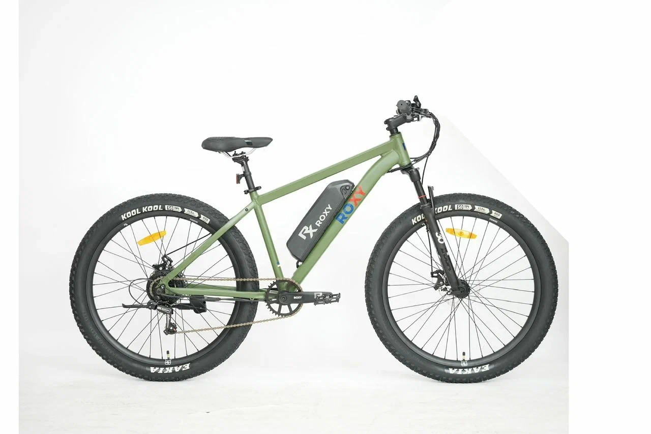 Электровелосипед Roxy D205 27.5RX-D205-500-36GR — фото, цена, купить