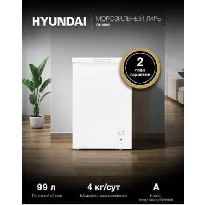 Отдельностоящие Hyundai CH1002 CH1002 от магазина Zakaz43