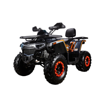 Квадроциклы трициклы AVANTIS Hunter H250 BIG NEW Premium (баланс. вал) Серый (Арт. УТ-00009239) Арт.УТ-00009239 AVANTIS Hunter H250BIG NEW Premium от магазина Zakaz43