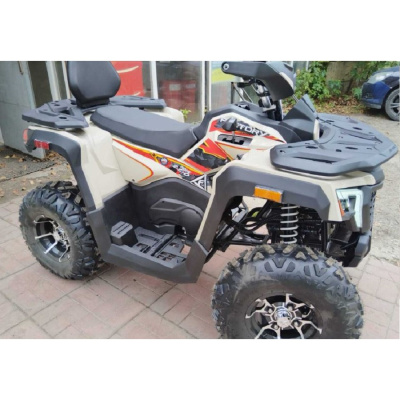 Квадроциклы трициклы RACER ATV Ranger 250 (комплектация 1) RACERATV  от магазина Zakaz43