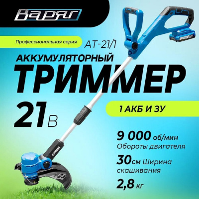 Электрические Варяг АТ-21  АТ-21 от магазина Zakaz43