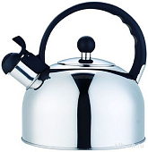 Чайники для плиты "Красавица" Водолей со свистком МЛК 1230 — фото, цена, купить