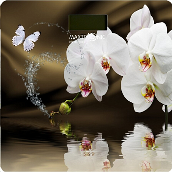 Весы напольные MAXTRONIC MAX-310 — фото, цена, купить