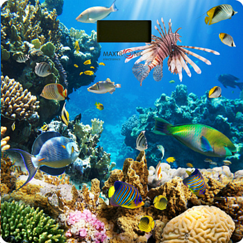 Весы напольные MAXTRONIC MAX-287 подводный мир — фото, цена, купить