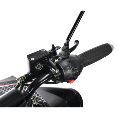 Электроквадроцикл White Siberia Sneg Pro R 3000W  от магазина Zakaz43