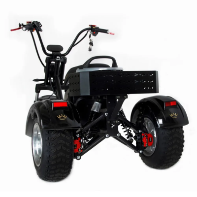 Электротрицикл Ikingi M6 PRO Trike  от магазина Zakaz43