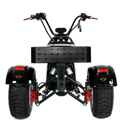Электротрицикл Ikingi M6 PRO Trike  от магазина Zakaz43