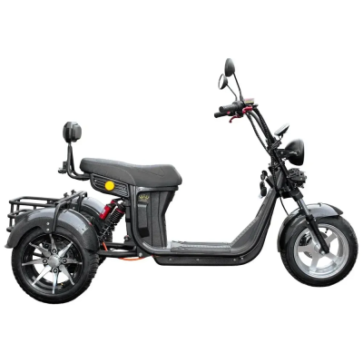 Электротрицикл Ikingi М7 PRO Trike IKG-M7-PRO-TR от магазина Zakaz43