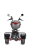 Увеличенное фото: Электротрицикл White Siberia Trike Mini Black 1500W Электротрицикл White Siberia Trike Mini Black 1500W от магазина Zakaz43