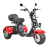 Увеличенное фото: Электротрицикл White Siberia Pro Trike 3000W на колесах Allroad Электротрицикл White Siberia Pro Trike 3000W на колесах Allroad от магазина Zakaz43