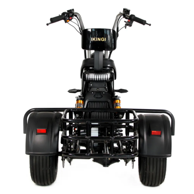 Электротрицикл Ikingi X1 PRO TRIKE  от магазина Zakaz43