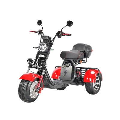 Электротрицикл White Siberia Pro Trike 3000W Red WS-PRO-TR-R от магазина Zakaz43
