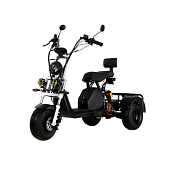 Электротрицикл Ikingi X1 PRO TRIKE — фото, цена, купить