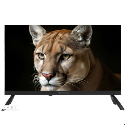 Телевизоры Topdevice TDWC24BH1000I TDWC24BH1000I от магазина Zakaz43