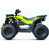 Квадроциклы трициклы Progasi ATV RaceJumper 200 SE (баланс. вал) Fluo Yellow — фото, цена, купить