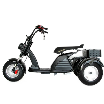 Электротрицикл Ikingi M6 PRO Trike  от магазина Zakaz43