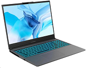 Ноутбуки Maibenben X16A-R77445FFSLGRE0 — фото, цена, купить