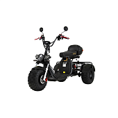Электротрицикл Ikingi X7 PRO TRIKE — фото, цена, купить