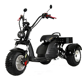 Электротрицикл Ikingi M6 PRO Trike — фото, цена, купить