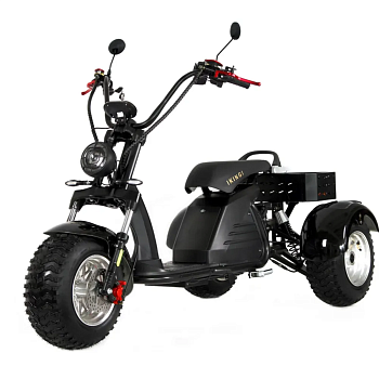 Электротрицикл Ikingi M6 PRO Trike — фото, цена, купить