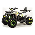 Картинка Квадроциклы трициклы от магазина Zakaz43 Квадроциклы трициклы от магазина Zakaz43