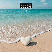 Весы напольные MAXTRONIC MAX-2802 — фото, цена, купить