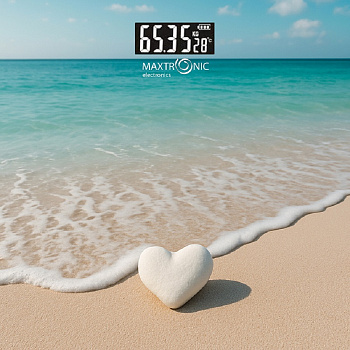 Весы напольные MAXTRONIC MAX-2802 — фото, цена, купить