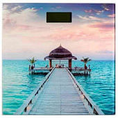 Весы напольные MAXTRONIC MAX-284 — фото, цена, купить