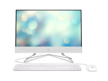 Моноблоки HP 22-DF0044UR 21.5" Full HD Ryzen 3 3250U 4Gb SSD128Gb RGR CR DOS3.0 KB (14P73EA) — фото, цена, купить