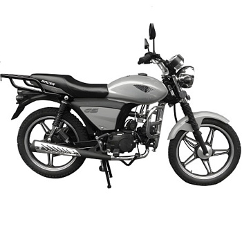 Мопеды Racer RC50 Alpha M1 (110, Серый) (Россия) — фото, цена, купить