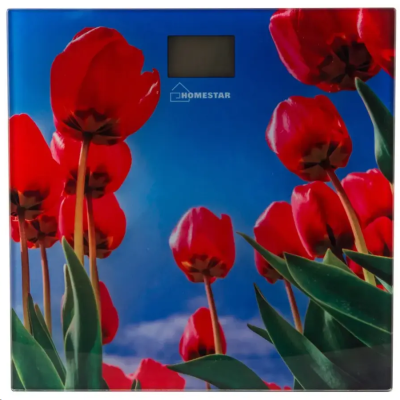 Весы напольные HOMESTAR HS-6001I HS-6001I от магазина Zakaz43