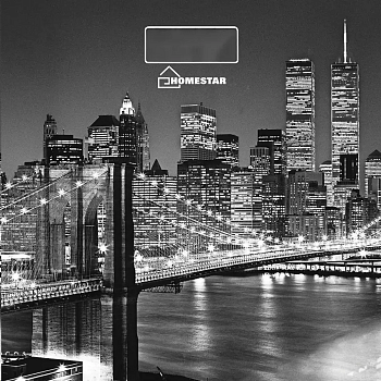 Весы напольные HOMESTAR HS-6001E Мост — фото, цена, купить