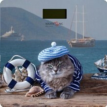 Весы напольные MAXTRONIC MAX-288 — фото, цена, купить