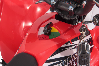 Электроквадроцикл White Siberia Sneg Leto R Red  от магазина Zakaz43