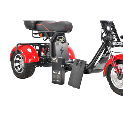 Электротрицикл White Siberia Pro Trike 3000W на колесах Allroad  от магазина Zakaz43