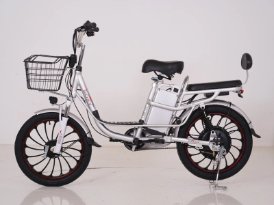 Электровелосипед Roxy D203-350 20RX-D-203-350 20RX-D-203-350 от магазина Zakaz43