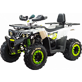 Квадроциклы трициклы Motoland 200 WILD TRACK LUX (баланс. вал) (арт.15313) — фото, цена, купить