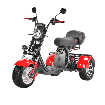 Электротрицикл White Siberia Pro Trike 3000W на колесах Allroad — фото, цена, купить