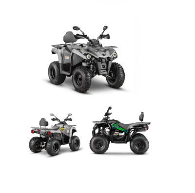 Квадроциклы трициклы GLADIATOR F200 (Спинка, Зеркала) Серый GLADIATOR F200 от магазина Zakaz43